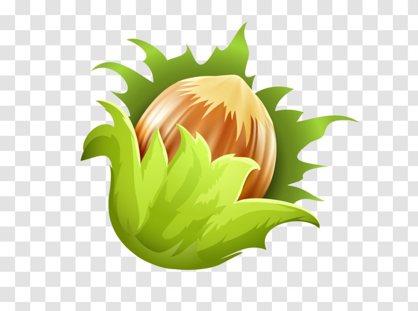 Sunflower - Leaf - Petal Flowering Plant Transparent PNG