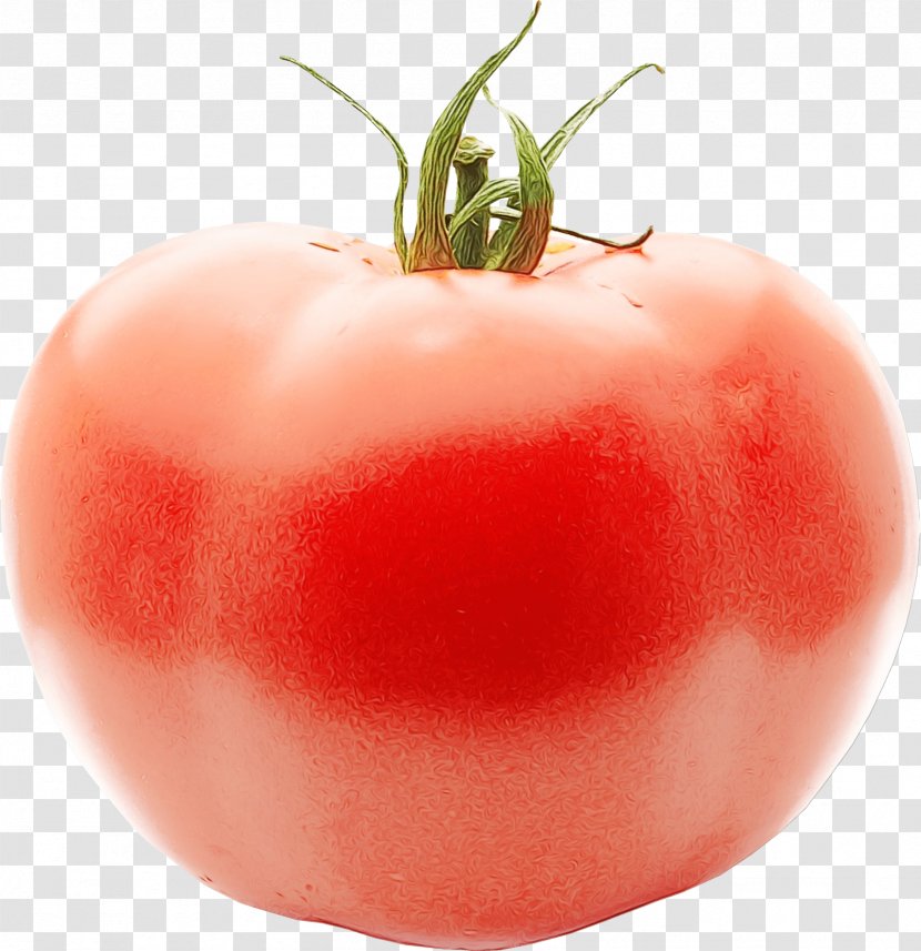 Tomato Cartoon - Nightshade Family - Cherry Tomatoes Superfood Transparent PNG