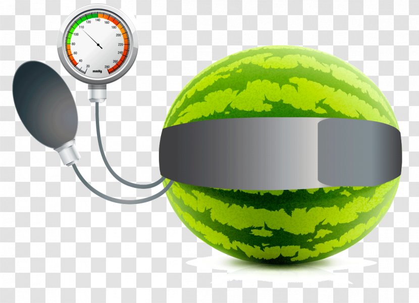 Watermelon Extract Vector Graphics Illustration Drawing - Fruit - Garlic Blood Pressure Transparent PNG
