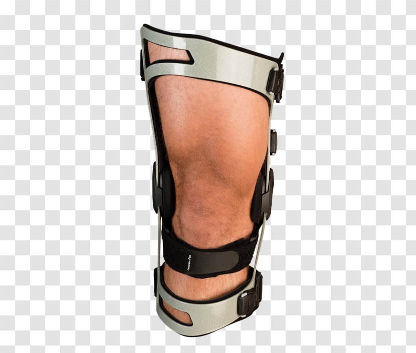 Knee Ligament Breg, Inc. Anatomy Shoulder - Breg Inc - Sport Transparent PNG