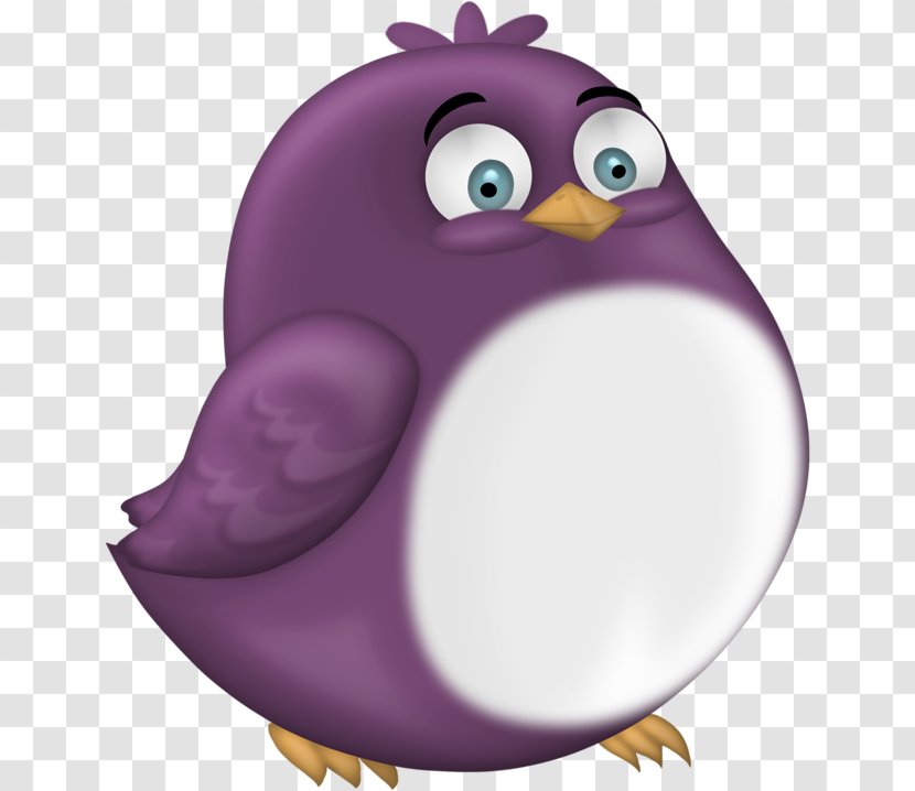 Penguin Bird Owl Parrot Cartoon Transparent PNG