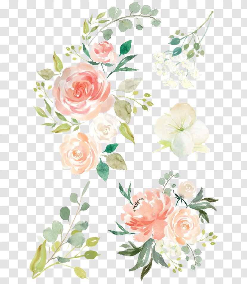 Watercolor Painting Flower Rose Clip Art - Floral Design - May Clipart Flowers Transparent PNG