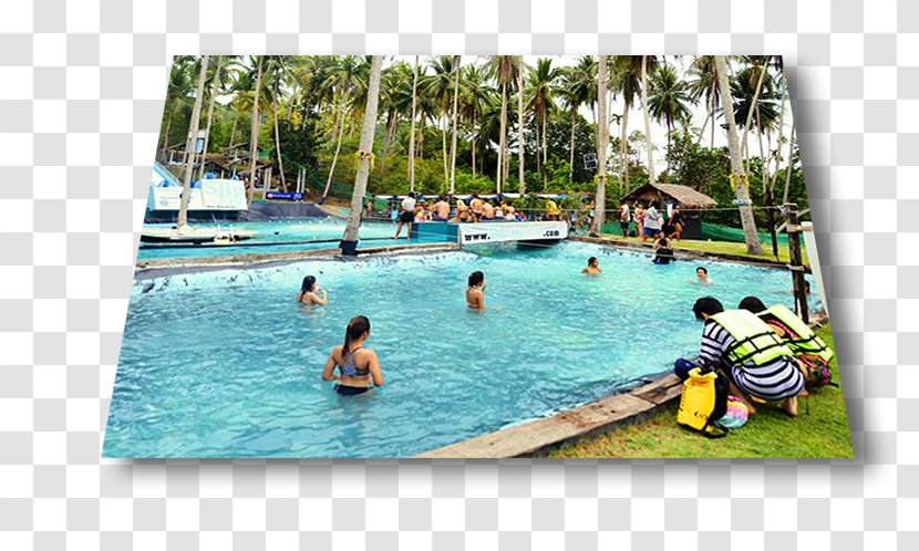 Slip N Fly Water Park Swimming Pool Tijuana Resort - Slide Transparent PNG