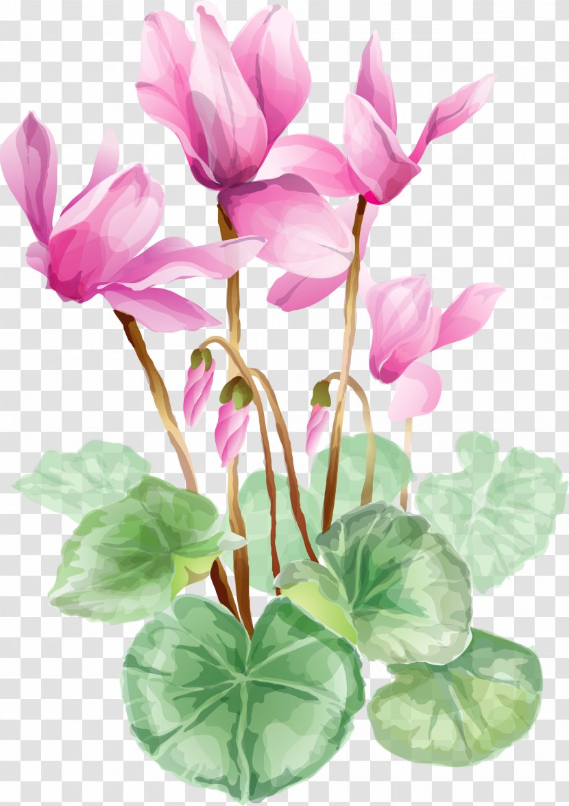 Flower Clip Art - Bouquet - Lotus Transparent PNG