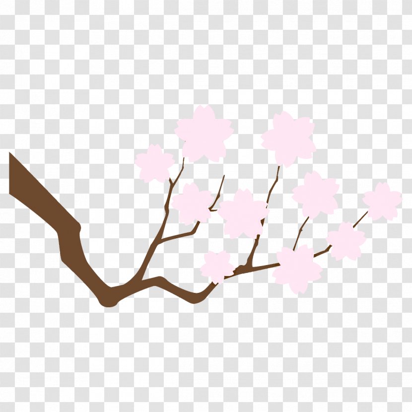 Cherry Blossom - Tree Leaf Transparent PNG