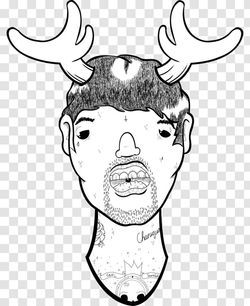 Moose Drawing Clip Art Deer - Forehead Transparent PNG