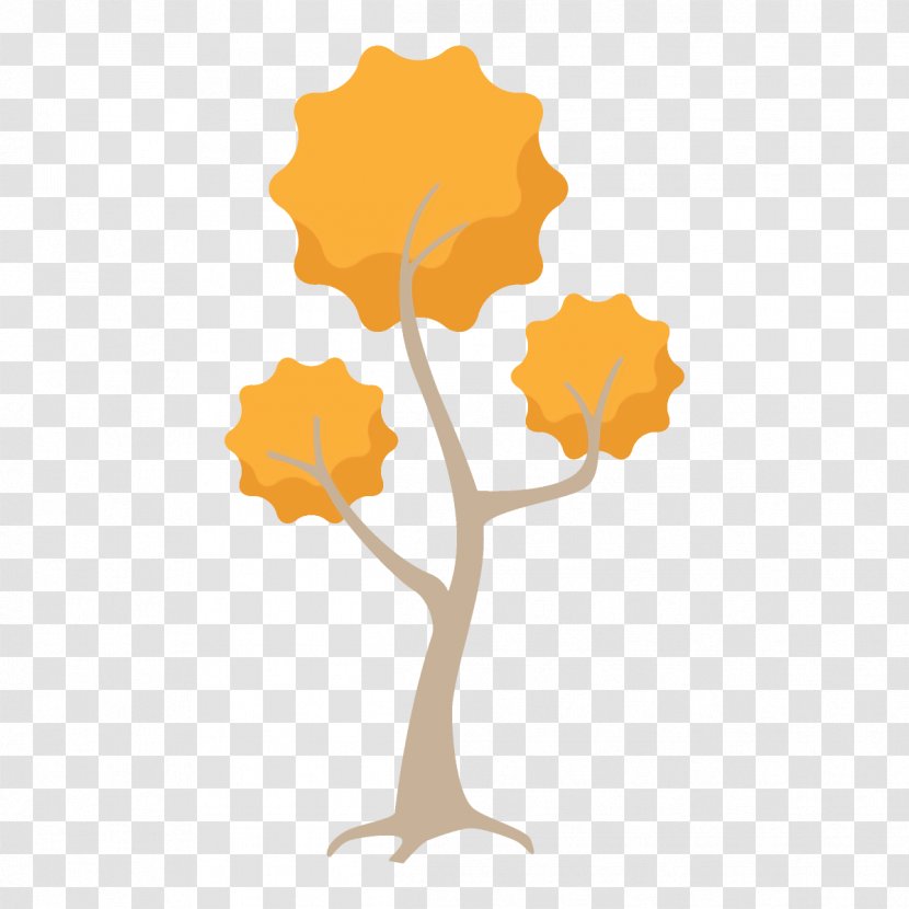 Plane - Tree - Deciduous Plant Transparent PNG