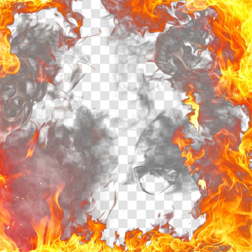 Flame Fire - Tree - Flames Transparent PNG