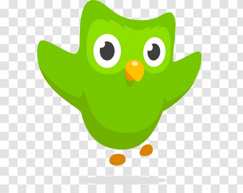 Duolingo Owl Foreign Language Learning - Vocabulary - Helicopters Transparent PNG