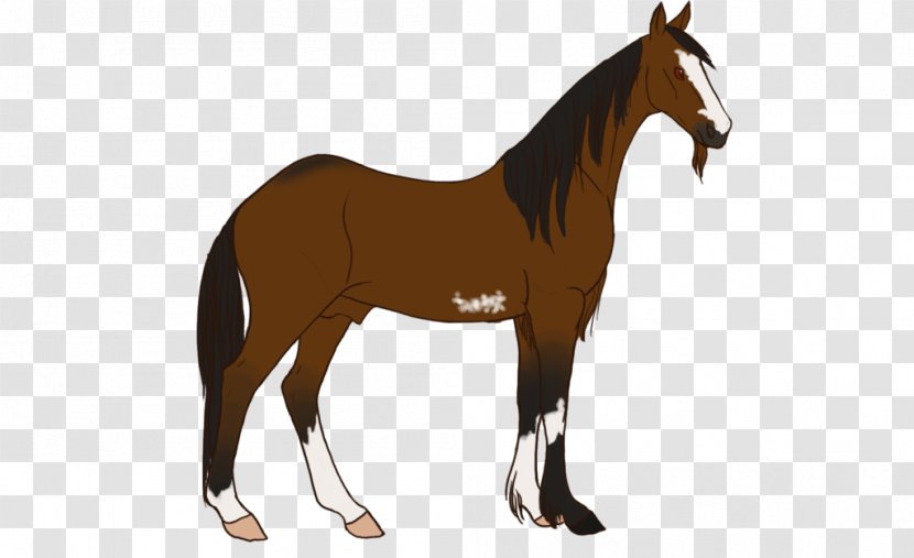 Mustang Foal Stallion Colt Rein - Horse Transparent PNG