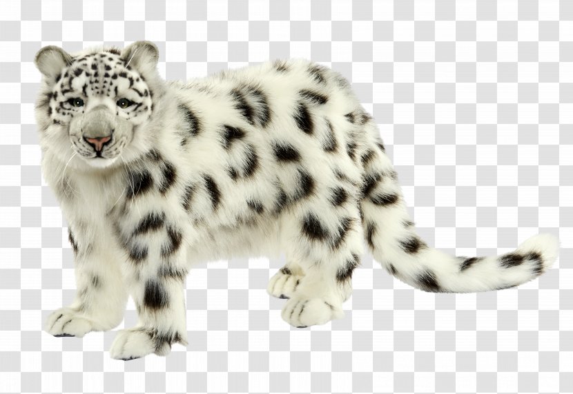Snow Leopard Felidae Jaguar Arabian African - Animal - Snowleopard Transparent PNG