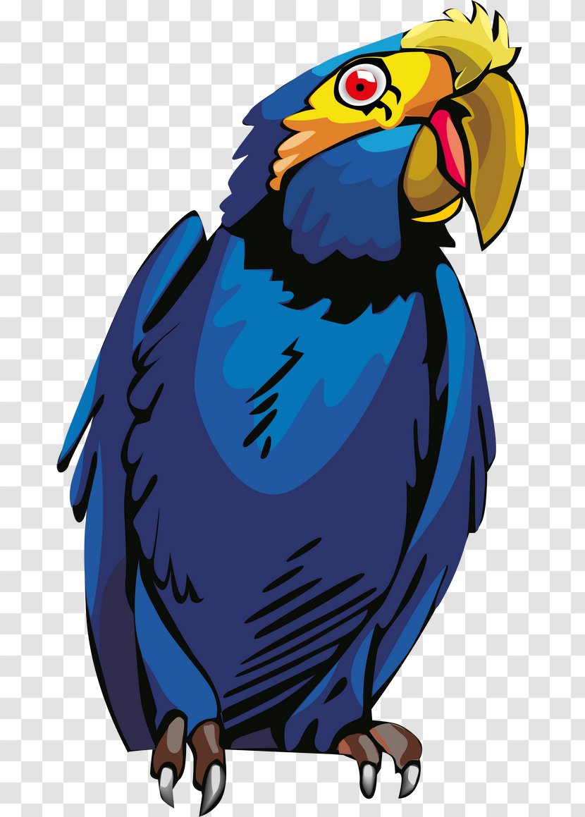 Macaw Sina Corp Parrot Television Dance - Hot Blood Crew - Jackson Y Transparent PNG