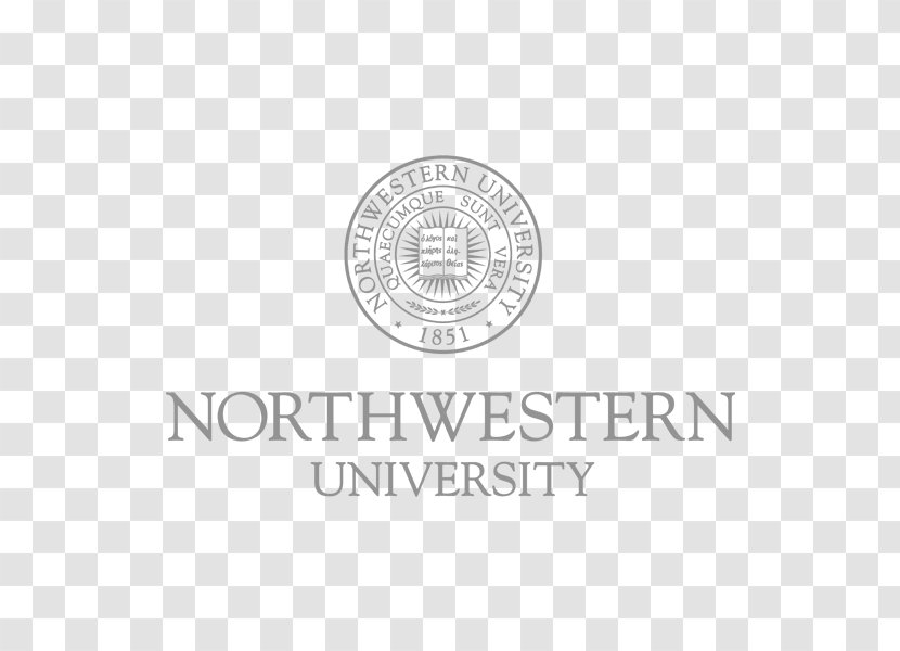 IE University Northwestern In Qatar Syracuse - Doctorate - Student Transparent PNG