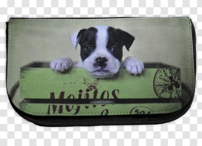 Boston Terrier Shorty Bull Dog Breed Non-sporting Group MINI Cooper - Wallet - Mojito Transparent PNG