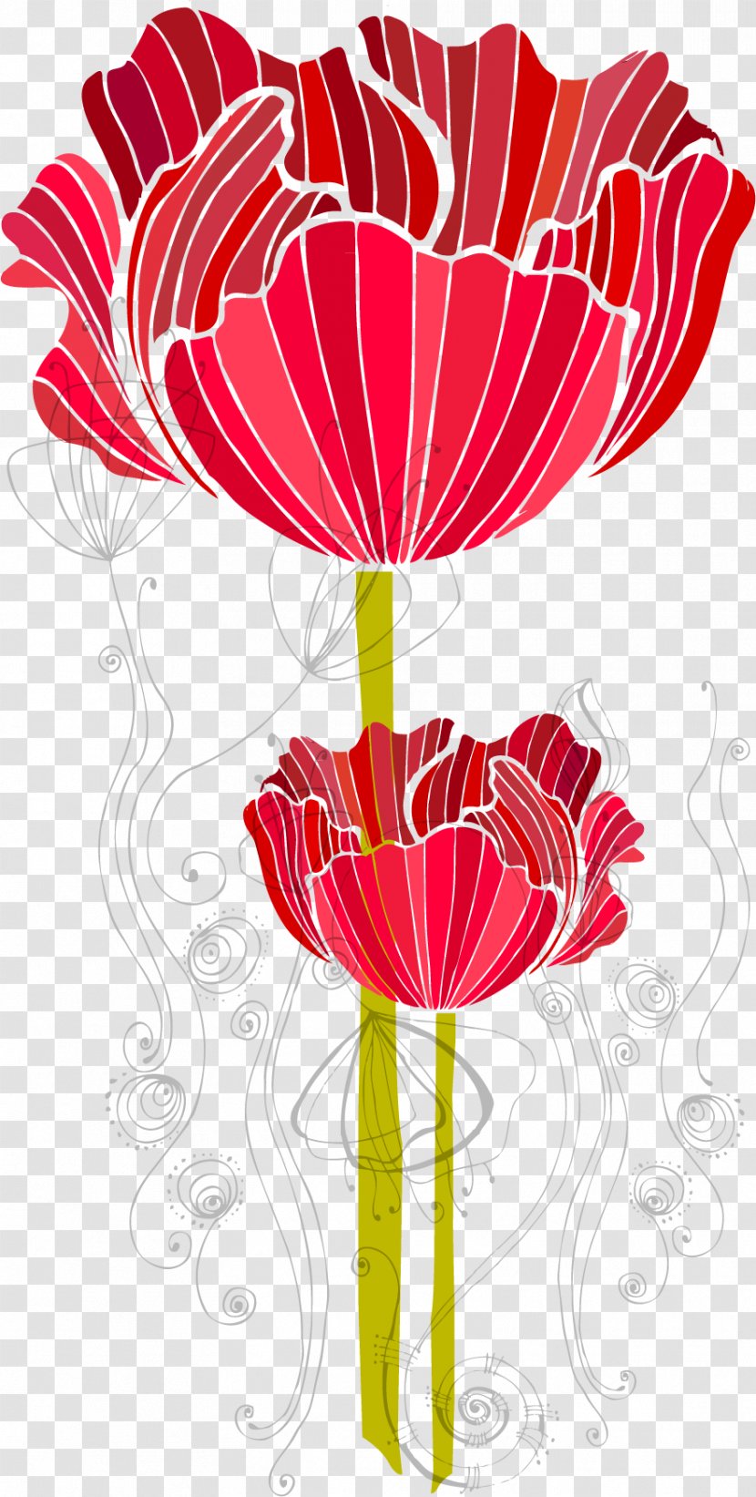 Flower Poppy - Red - Vector Transparent PNG