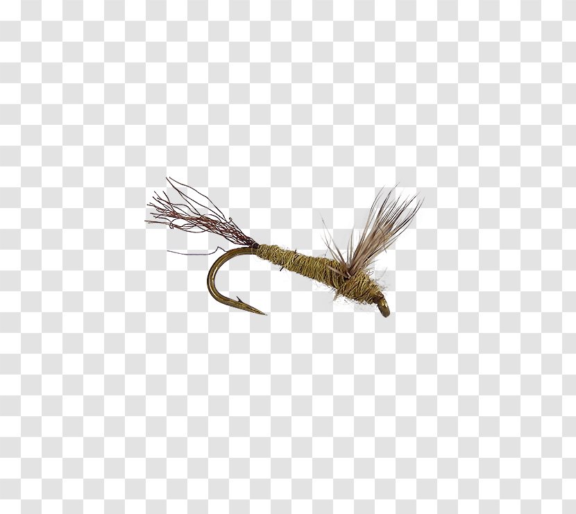 Holly Flies Artificial Fly Dobsonflies George Daniel - Pest - Fishing Transparent PNG