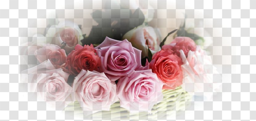 Flower Bouquet Desktop Wallpaper Garden Roses - Rose Family Transparent PNG
