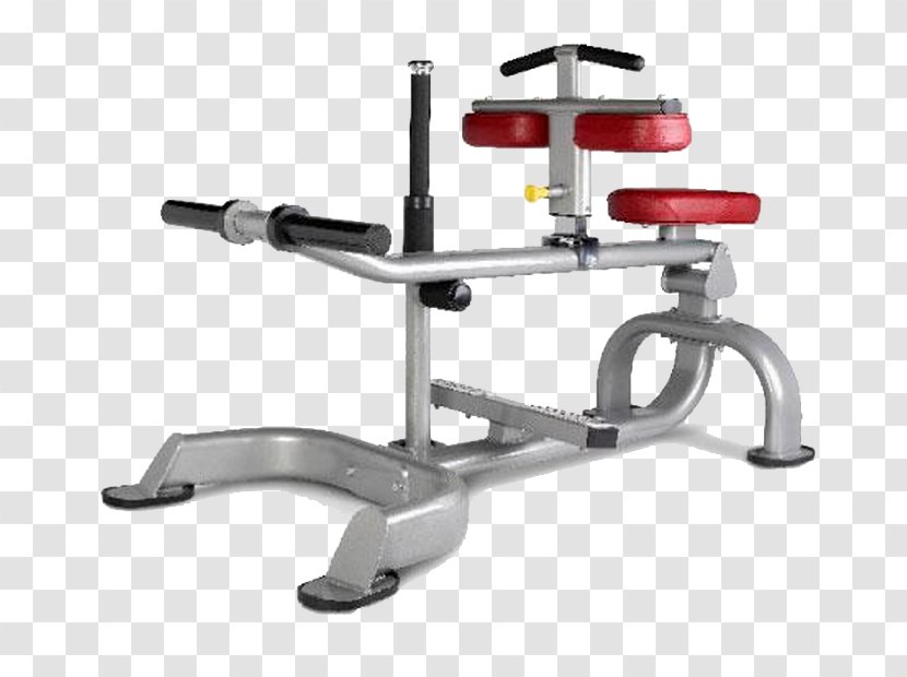 Bench Exercise Equipment Fitness Centre Physical Calf Raises - Press - Roman Chair Transparent PNG