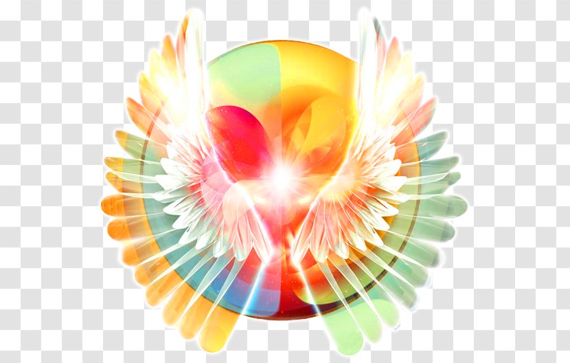 YouTube Heart Spirituality Kimberly's Spiritual Enlightenment Angel - Flower - Youtube Transparent PNG