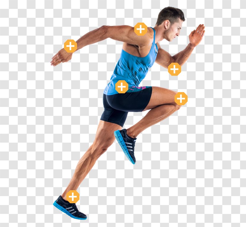 Adam Winter Lifestyle Strength Training Aerobic Exercise Anaerobic Organism - Muscle - Knee Transparent PNG