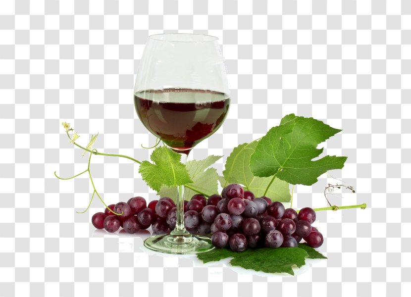 Red Wine Beer Common Grape Vine White - Vitis Transparent PNG