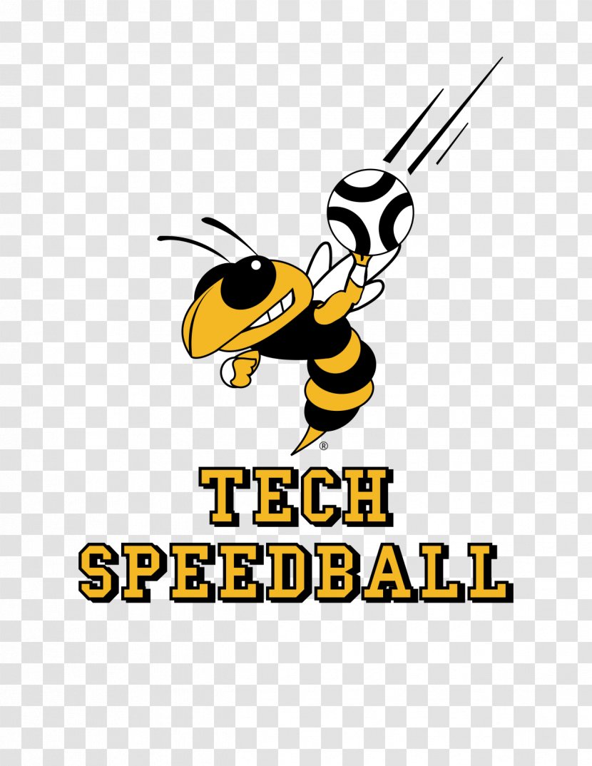 Honey Bee Georgia Tech Yellow Jackets Football Yellowjacket GaTech GA - National Collegiate Athletic Association Transparent PNG