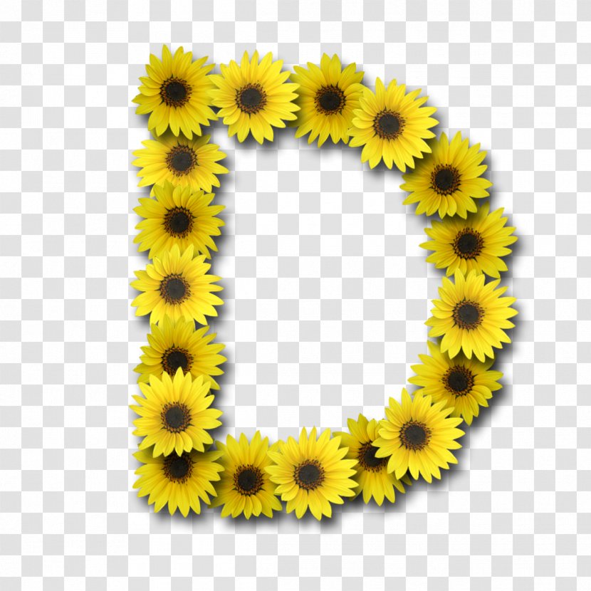 Letter Alphabet Video Font - Sunflower Transparent PNG