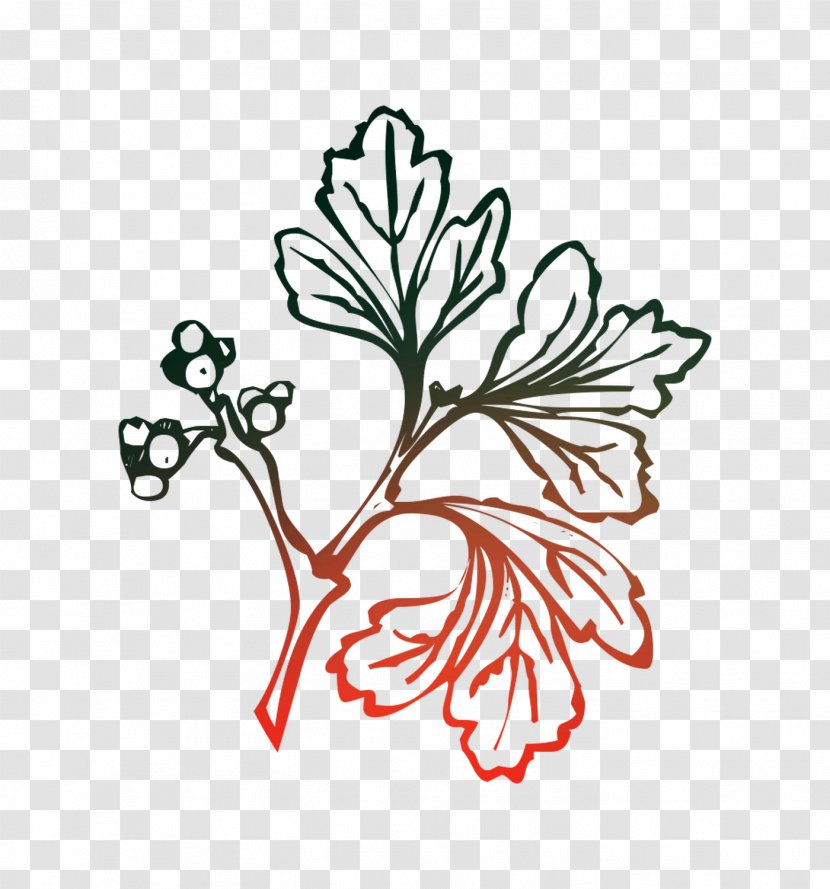 Leaf Azzio Clip Art Plant Stem - Flora Transparent PNG