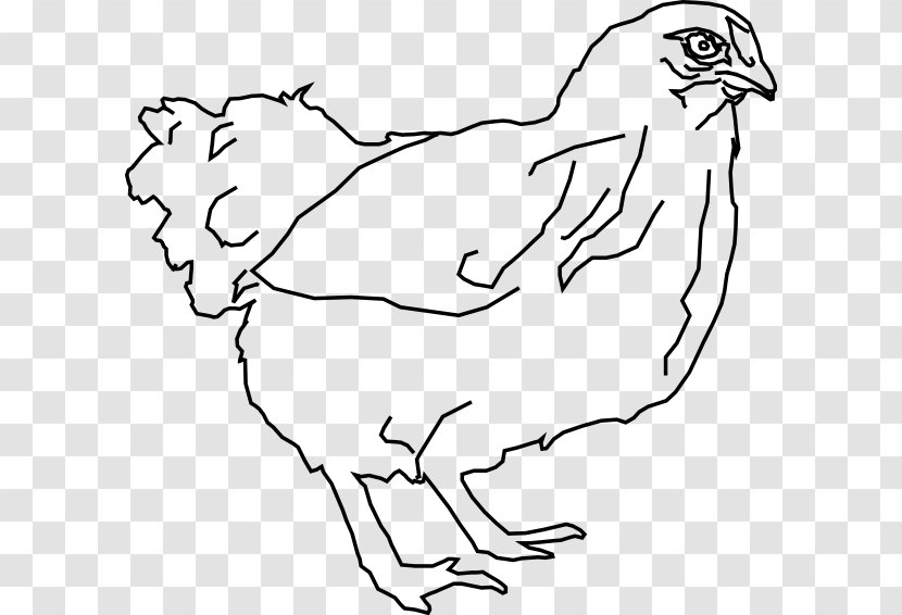 Chicken Drawing Line Art Hen Clip - Watercolor Transparent PNG