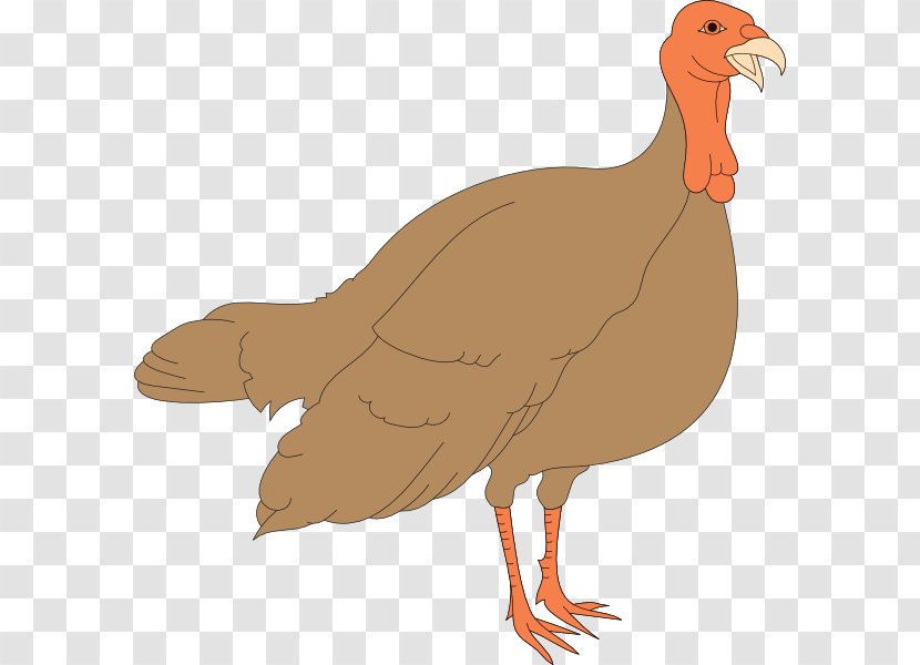 Black Turkey Meat Chicken Clip Art - Organism Transparent PNG