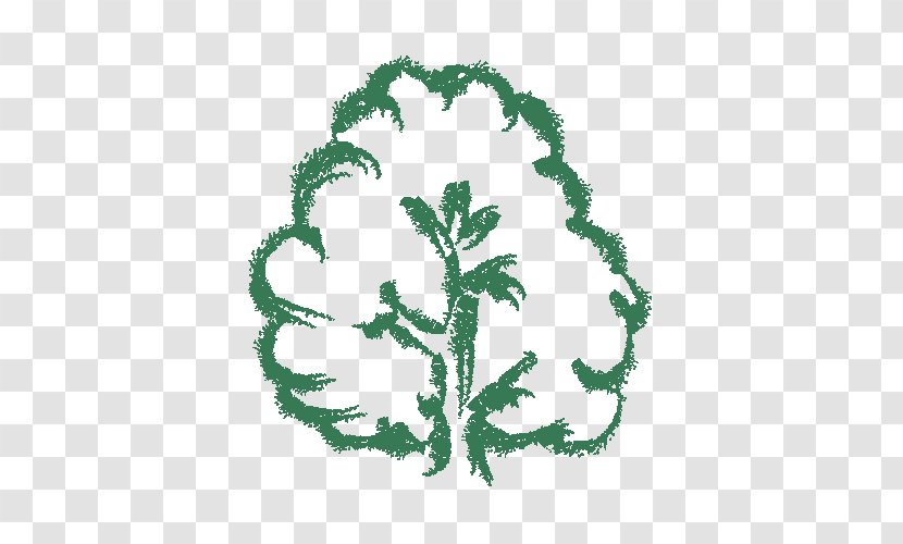 Tree Green - Symbol Transparent PNG