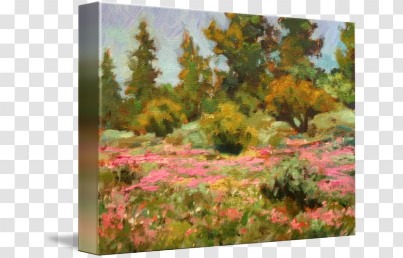 Reality Metaphysics Meadow Spirituality Flora - Tree - Flowers Transparent PNG