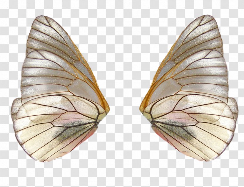 Fairy - Butterfly - Moth Transparent PNG
