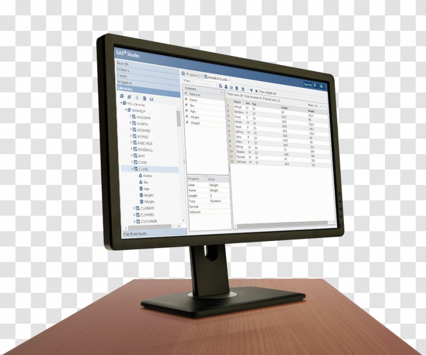Computer Monitors Software SAS Institute Management - Suite Transparent PNG