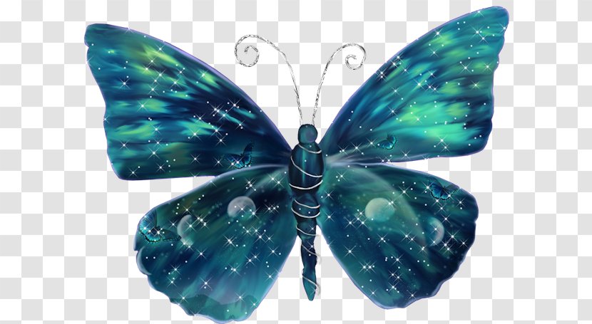 Butterfly Butterflies In Colour & Insects - Dots Per Inch - A Transparent PNG