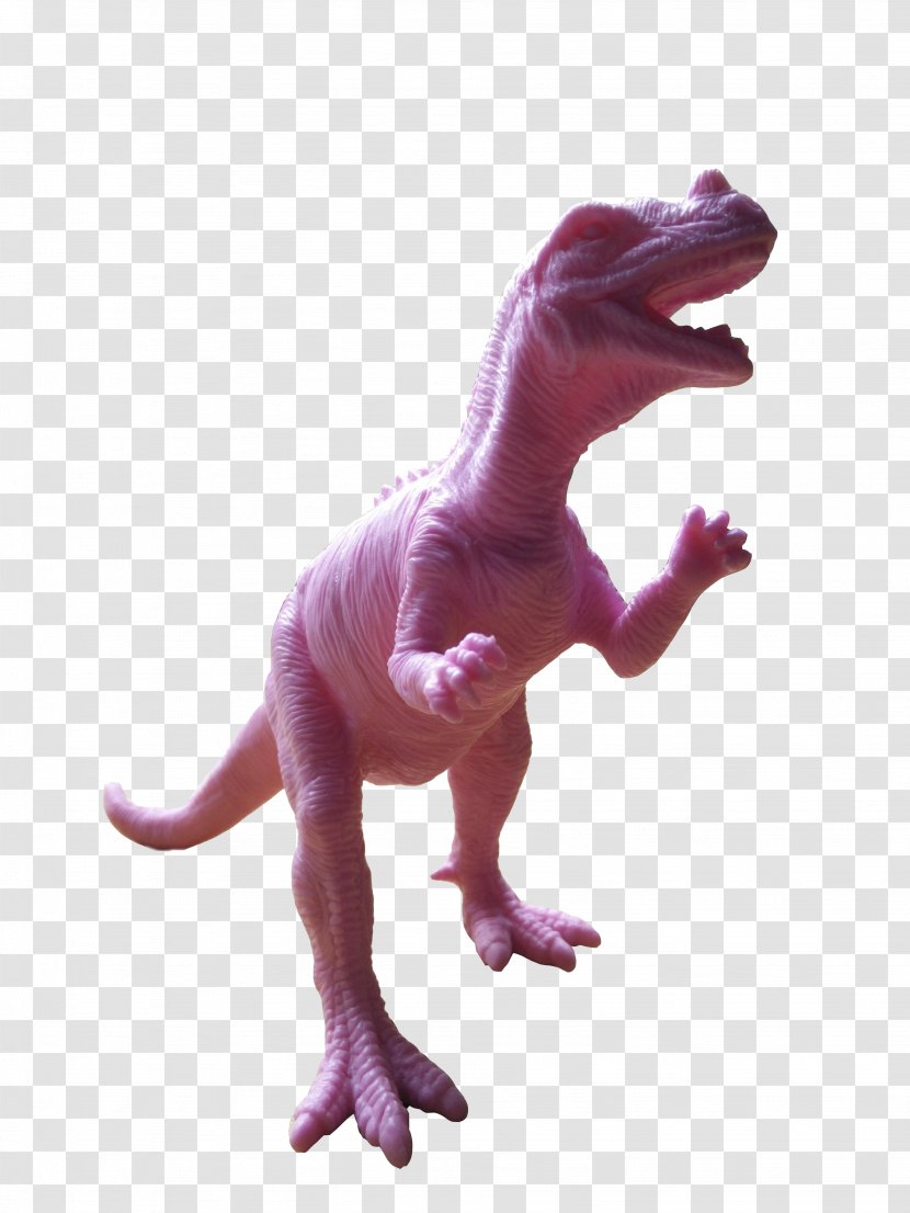 Tyrannosaurus Velociraptor Animal - Organism - Dinosaur Pink Transparent PNG