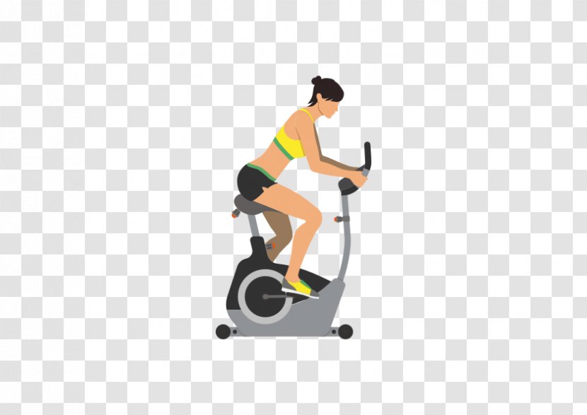 Euclidean Vector Physical Exercise Bicycle Motion - Joint - Power Cycling Transparent PNG