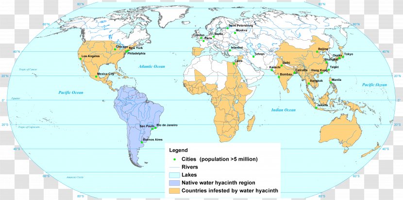 Common Water Hyacinth Amphibians World Map Invasive Species Transparent PNG