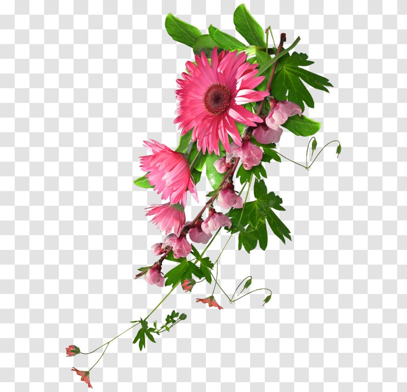 Blog Clip Art - Chrysanths - Real Flowers Transparent PNG