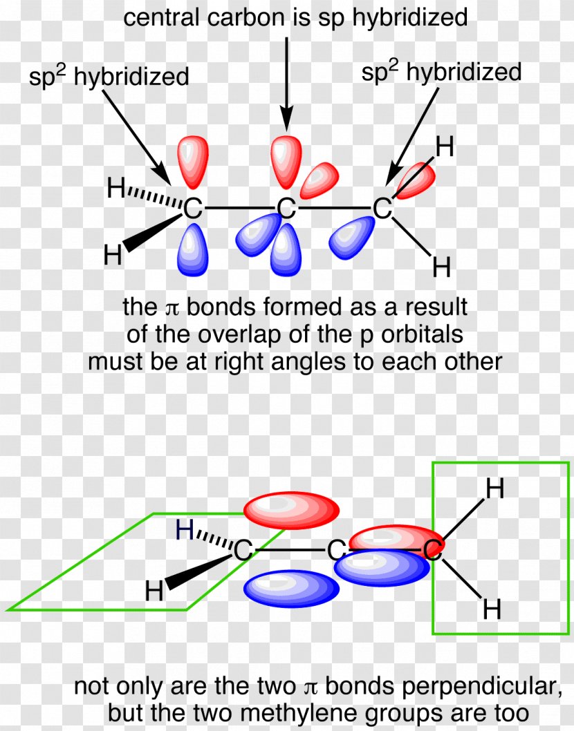 Allene Orbital Hybridisation Atomic Lewis Structure Chemical Bond - Text - Molecule Transparent PNG