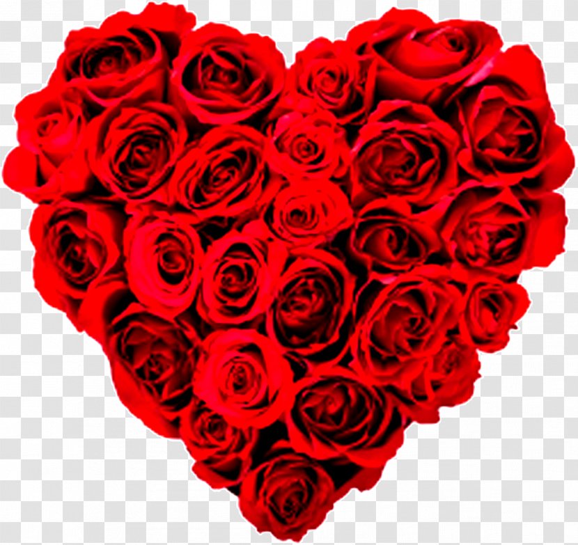 Garden Roses - Red - Plant Love Transparent PNG