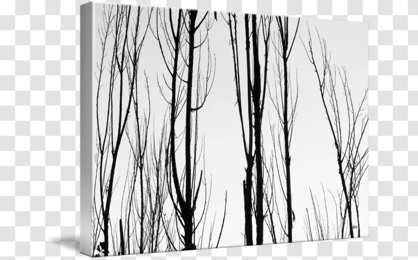 Wood /m/083vt White Branching - Black And Abstract Transparent PNG