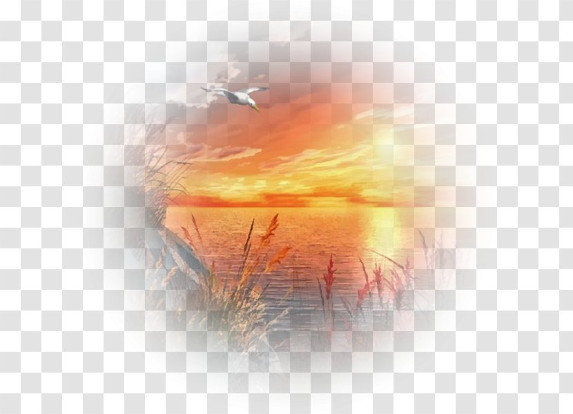 Stock Photography Graphics Desktop Wallpaper Computer - Orange - Beau Coucher De Soleil En Ville Transparent PNG