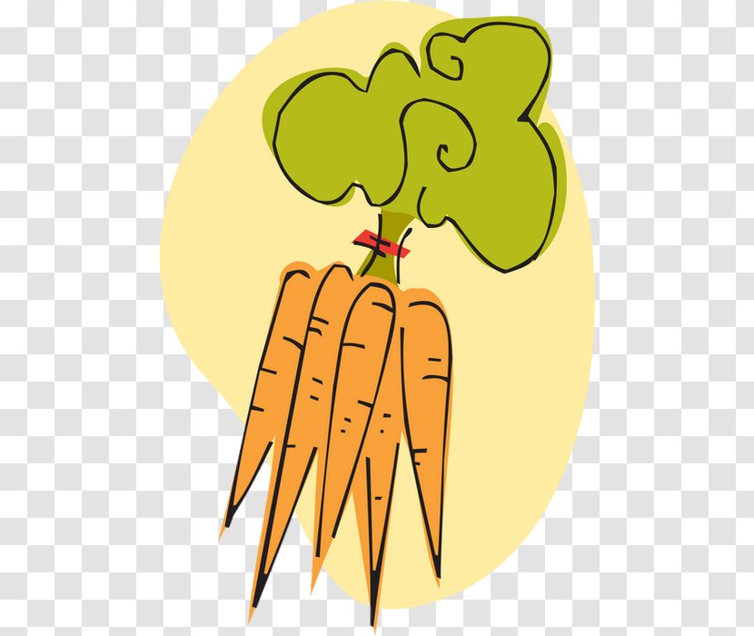 Carrot Vegetable Clip Art - Painting Transparent PNG