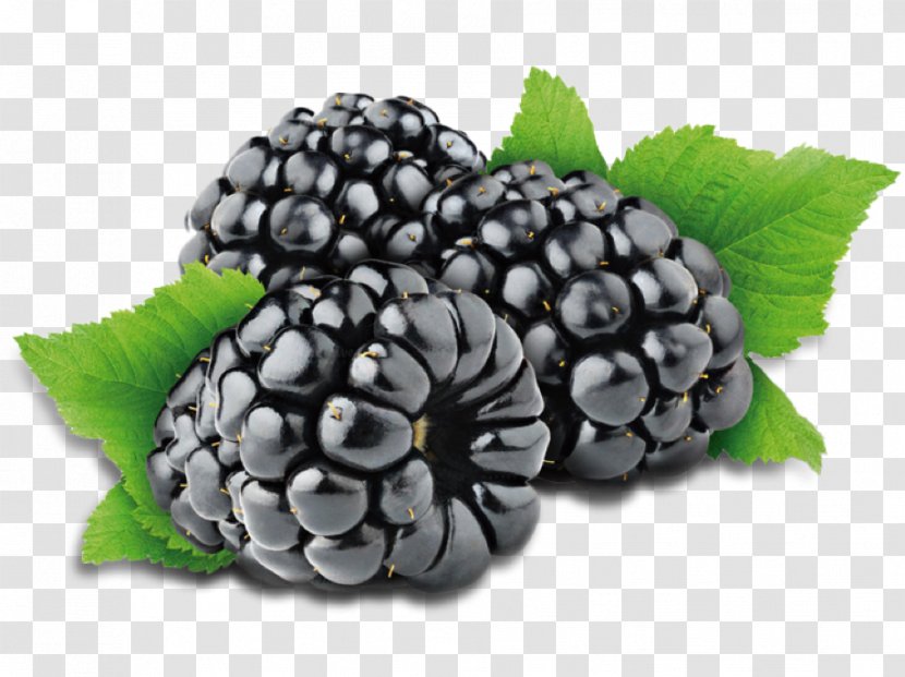 Juice Cobbler Blackberry Fruit - Concentrate Transparent PNG