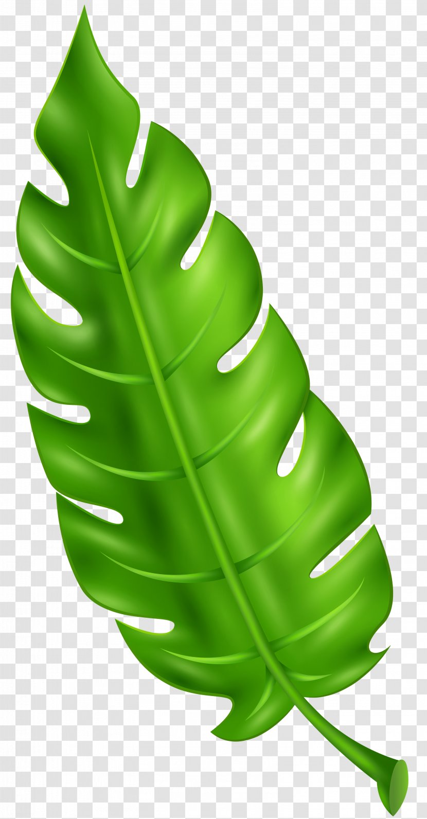 Leaf Clip Art - Plant Transparent PNG