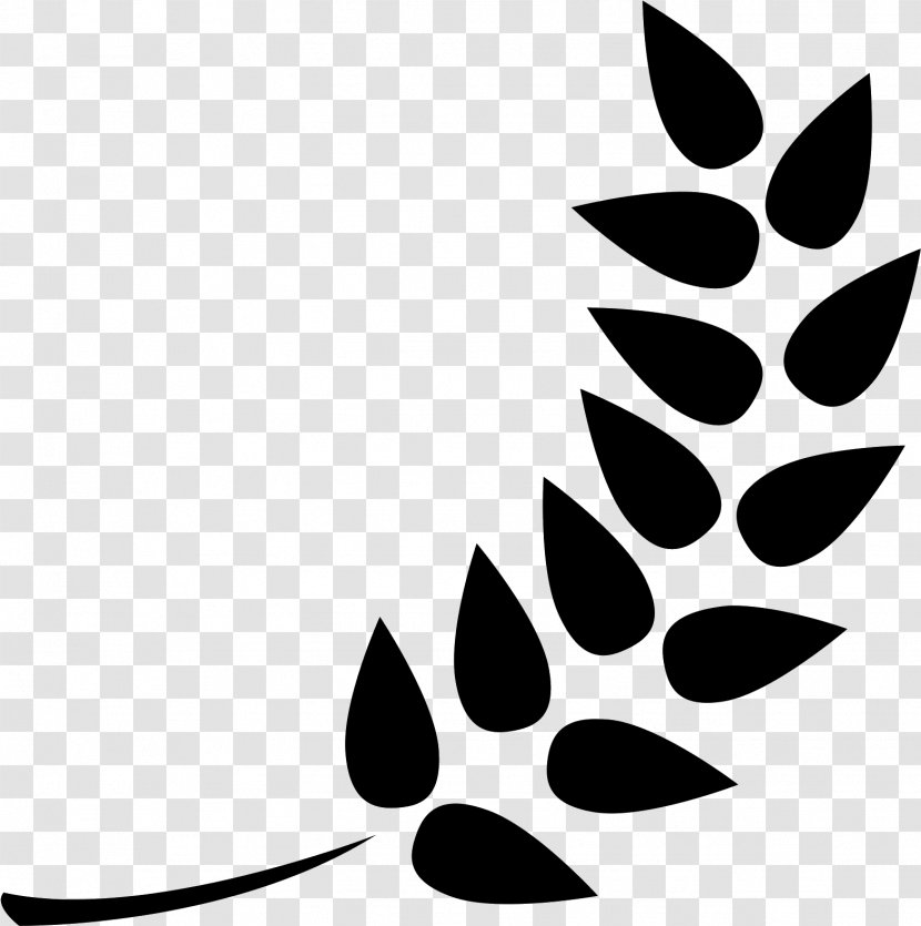 Tree Stencil - Logo - Plant Transparent PNG