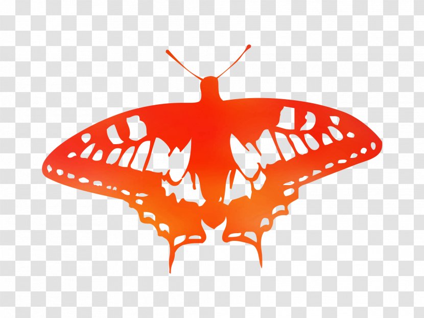 Butterfly Illustration Vector Graphics Royalty-free Clip Art - Moths And Butterflies - Stock Photography Transparent PNG