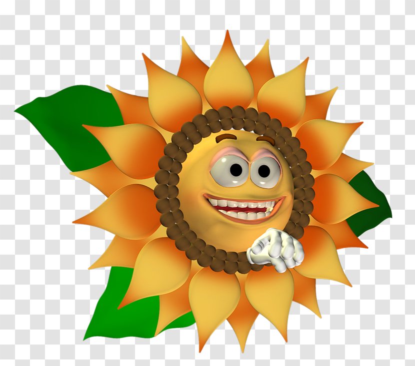 Sunflower M Fruit .net - Flowering Plant - Smiles Transparent PNG