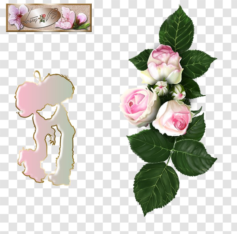 Garden Roses Cabbage Rose Floral Design Cut Flowers - Creative Back To School Elements Transparent PNG